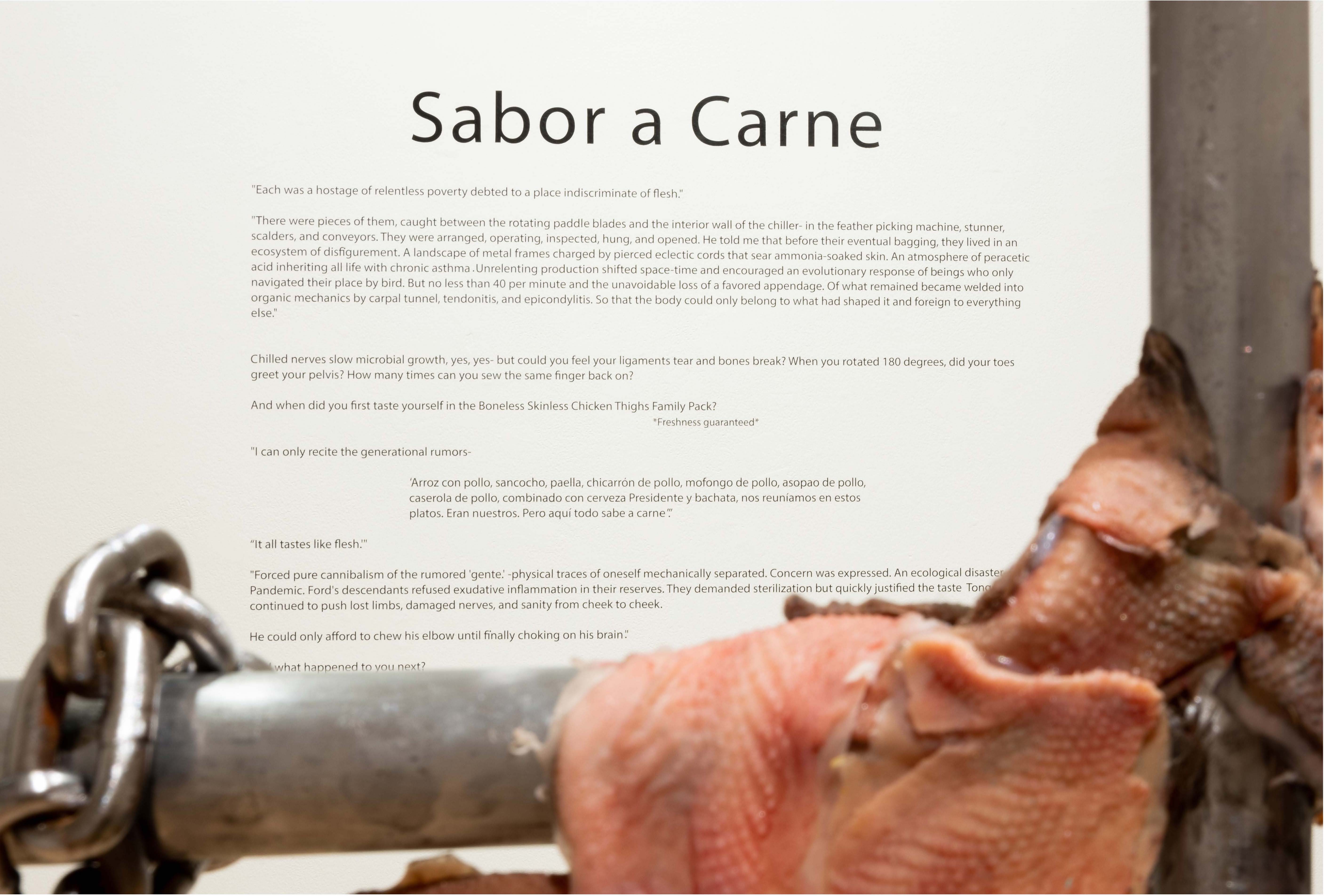 Sabor a Carne art exhibition