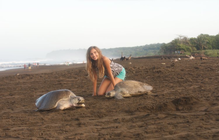 Undergraduate scholar squats next to sea turtles on a beach