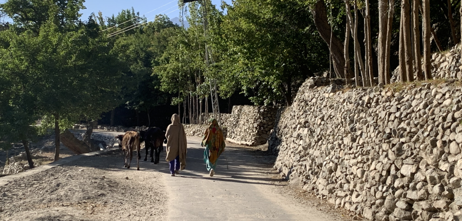 Women in Pakistan walk along a dirt road with livestock.