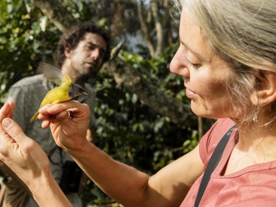 Woman holding a Mourning Warbler bird