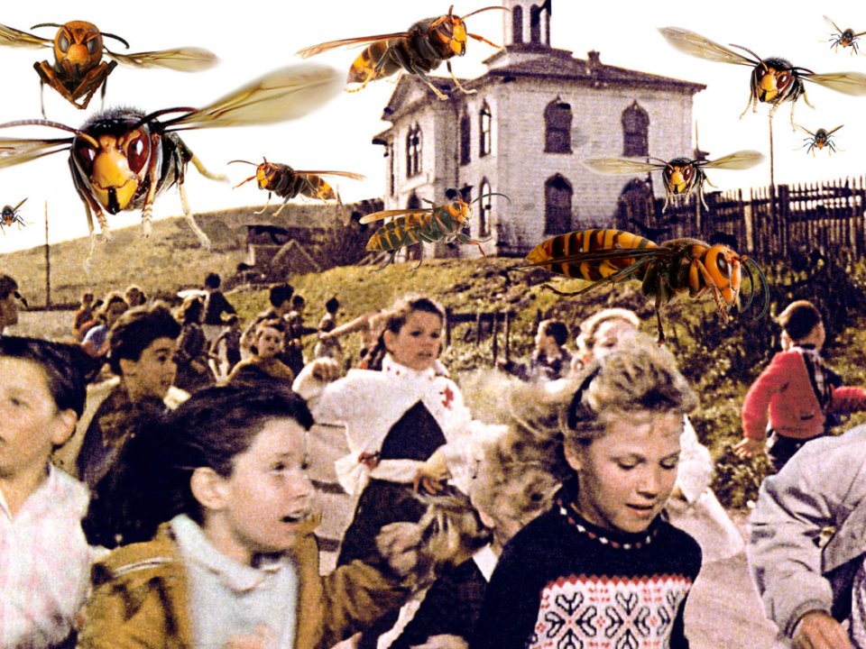 Photoshoped image of giant hornets chasing kids