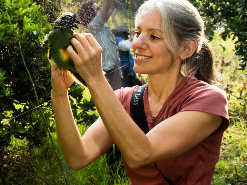 Amanda Rodewald in the field in Colombia, where she is working to conserve bird habitats