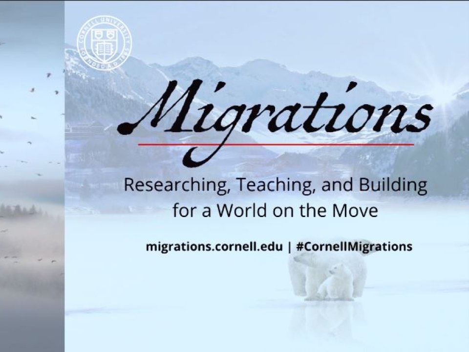 Birds in flight on left and polar bear family on right with Migrations: A Global, Interdisciplinary, Multispecies Examination written over the bears