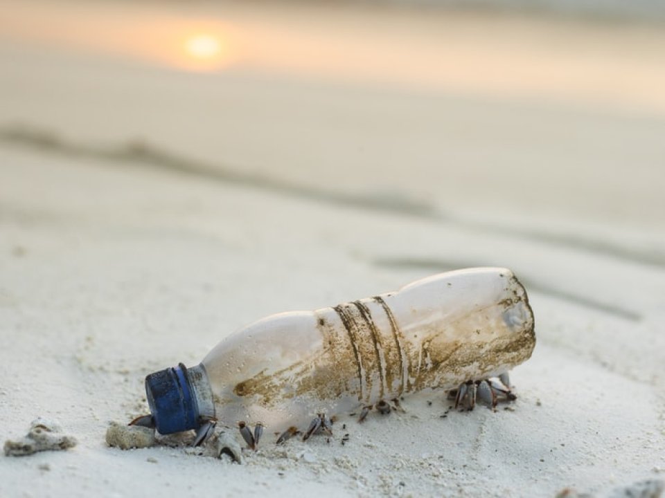 Dirty water bottle sits in beach sand