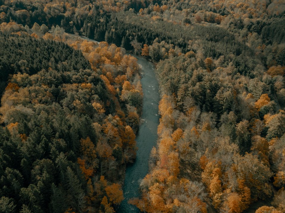 River running through a forest in Upstate New York during Autumn