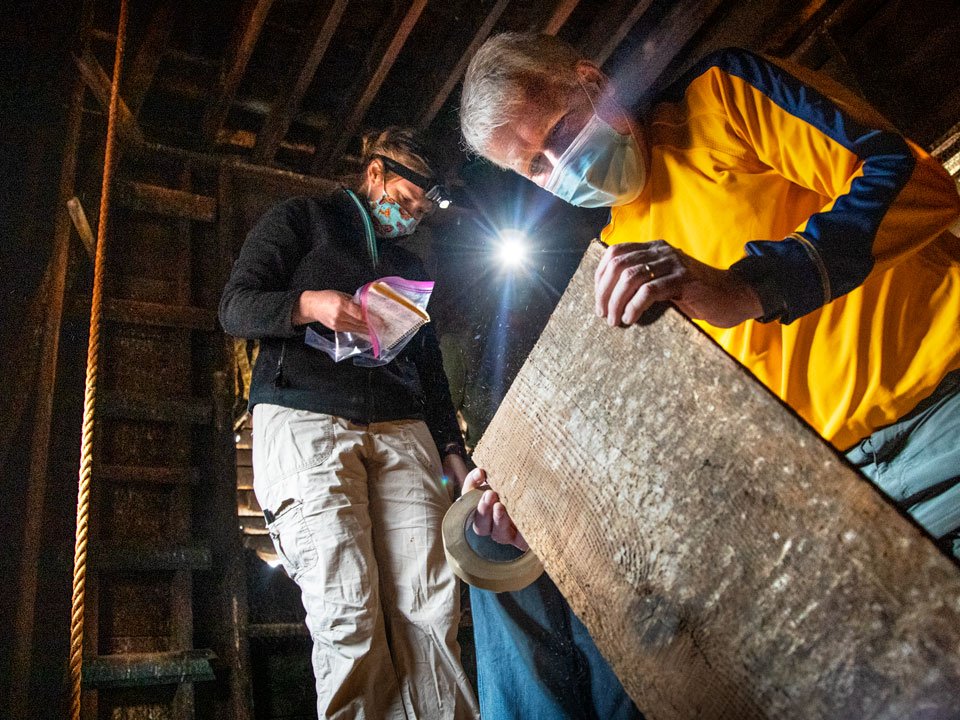 Brita Lorentzen ’06, Ph.D. ’15 (left), research associate and manager of the Cornell Tree-Ring Laboratory, and Sturt Manning, Distinguished Professor of Arts and Sciences in Classical Archaeology in the College of Arts and Sciences, examine wood in the belfry of St. James A.M.E. Zion Church in Ithaca. 