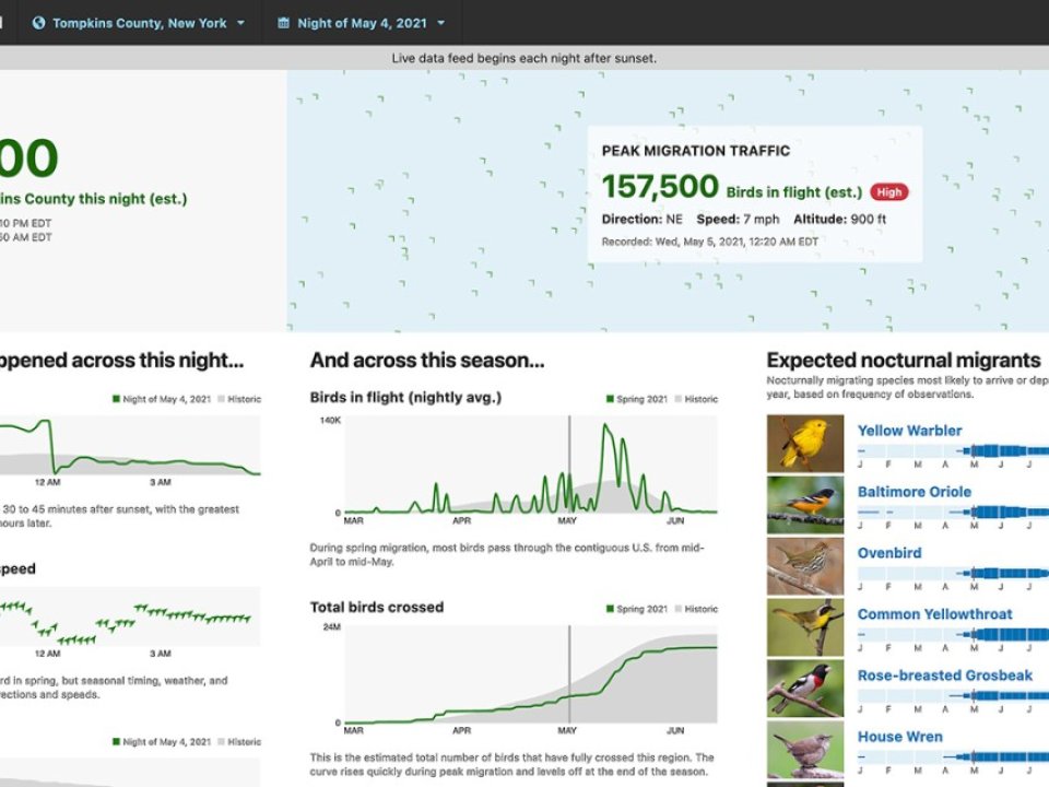 The new Migration Dashboard reveals bird movements in localized detail.